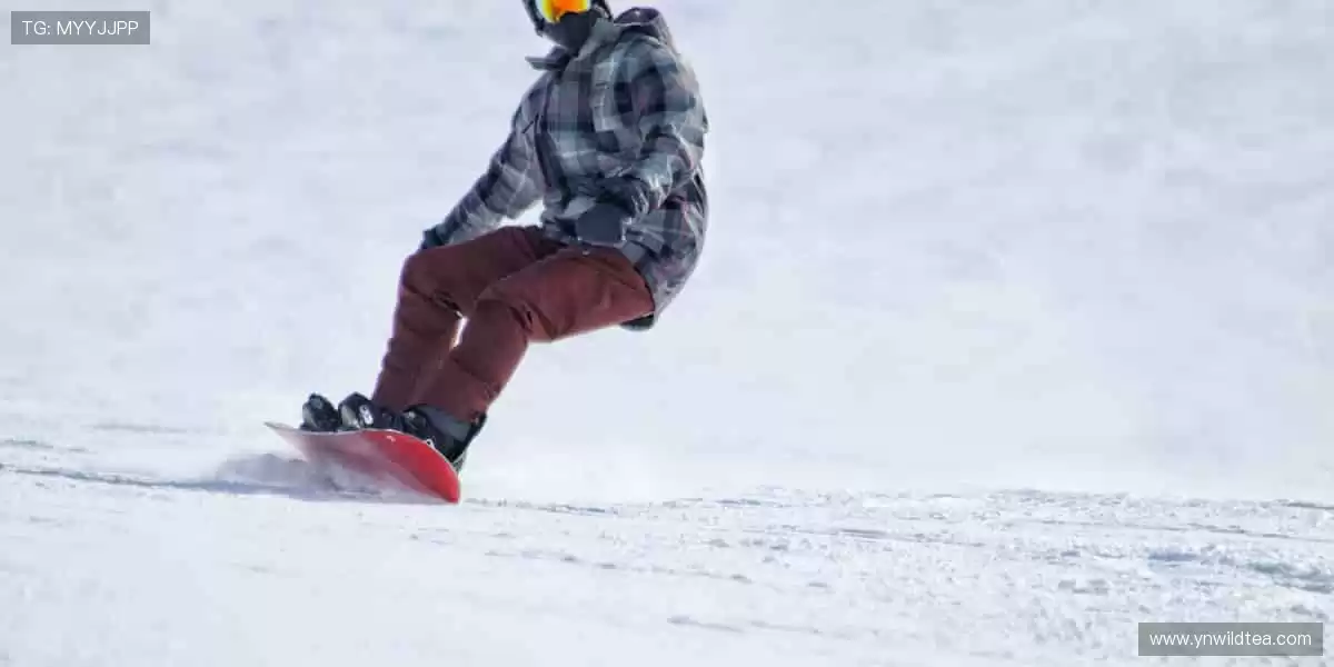 ⚽激情永不落幕，赛事官网带你感受纯粹的竞技魅力！